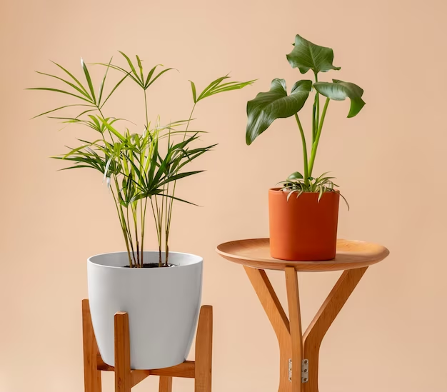 Gifts for Plant Lovers
